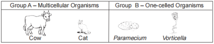 organization and patterns in Life, interactions among structural componenets fig: lenv12014-examw_g12.png